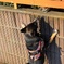 あいさつ
