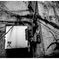 monochrome