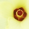 2025-09-04-08-55-30-738