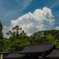 明治神宮からの夏雲