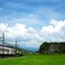 実りを待つ夏の里山風景