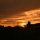 夕暮れ