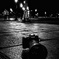 I AM NIKON