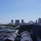 豊洲の朝