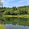 池のほとりで