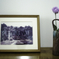Lisianthus