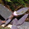 P9050003