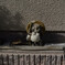 _1069979_DxO