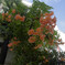 _1069978_DxO