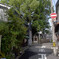 _1069975_DxO