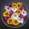 開ききったお花で花手水