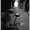 ♪　（Film)