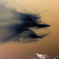 幻獣現る…