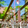 2025-09-06_青龍山 吉祥寺-1