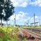 レールの先の夏