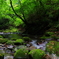黒い岩の渓