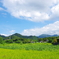 里の日和