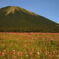 伯耆富士　大山