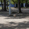 _1070032_DxO