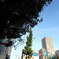 朝日に輝く街並み