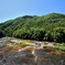 夏の川風景
