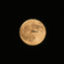 FLY TO THE MOON