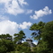 街中散歩　小倉城
