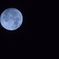 DSC_0110_Original