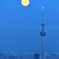 真上に・・・(TT)