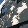DSCF1280