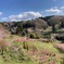 春山の風景