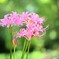 明るくて、賑やか・・・・・