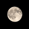 今夜の月