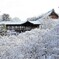 冬景色(東福寺2015)　