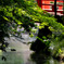 西日本出張_20250903_栗林公園_DSC_2260-2