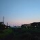 ほんのり