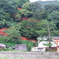 鳥居の道