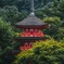 木々に佇む三重塔