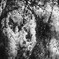 R00243281　翡翠(4ｔ)