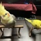 なによ？って感じ