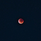 空に星があるように