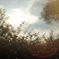 DSC00549