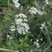 P9100185