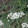 P9100189