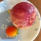 やっと２個目を収穫