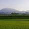 霞む大山