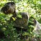 蝶の里公園～xix