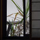 _1070072_DxO