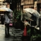 雨のストリートフォト