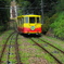 山下る黄色の軌跡
